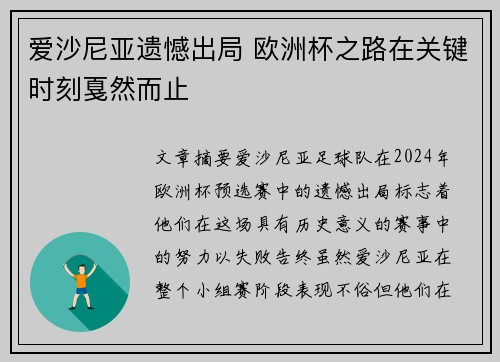 爱沙尼亚遗憾出局 欧洲杯之路在关键时刻戛然而止