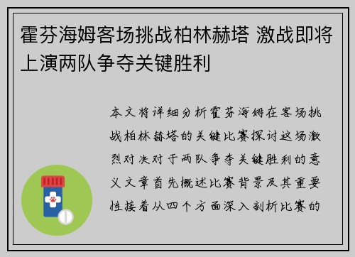 霍芬海姆客场挑战柏林赫塔 激战即将上演两队争夺关键胜利